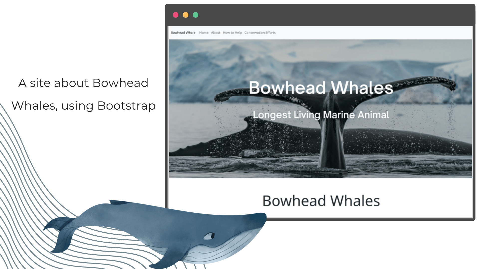 A site about Bohead Whales